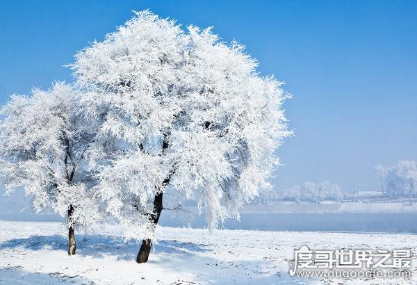 中国四大自然奇观，“一江寒水清，两岸琼花凝”(太惊艳)