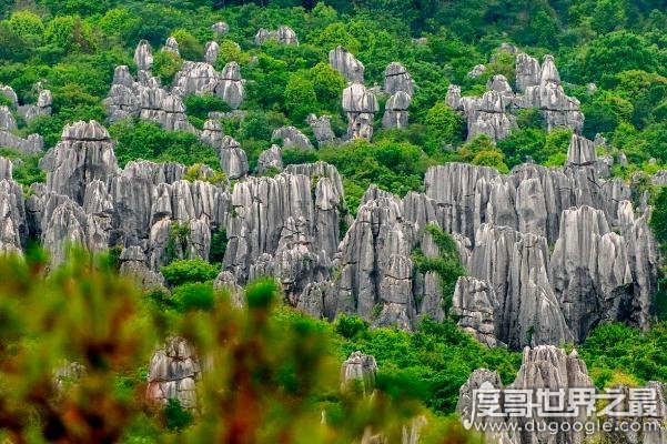 中国四大自然奇观，“一江寒水清，两岸琼花凝”(太惊艳)